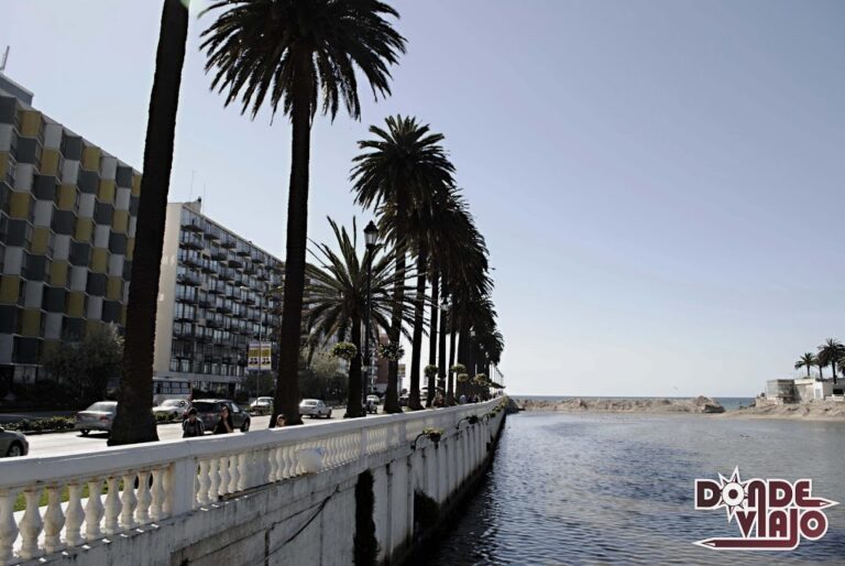 Lee más sobre el artículo Viña del Mar, mi primera vez en Chile