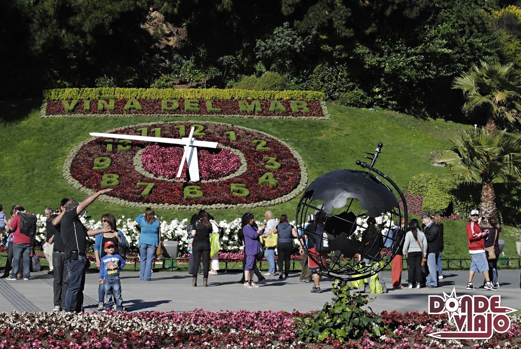 Reloj de flores