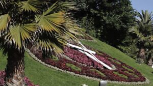 Lee más sobre el artículo Viña del Mar, Chile: qué ver, dónde queda y cómo visitarla