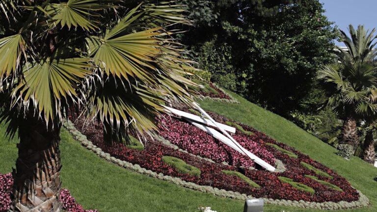 Lee más sobre el artículo Viña del Mar, Chile: qué ver, dónde queda y cómo visitarla