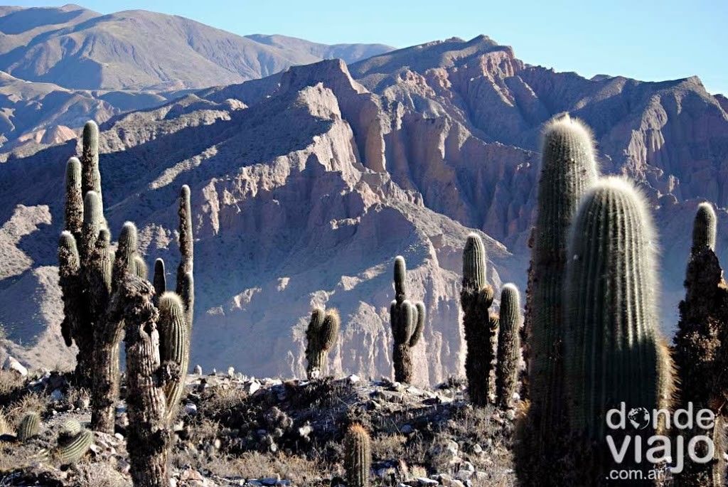 Visitando el Pucará de Tilcara