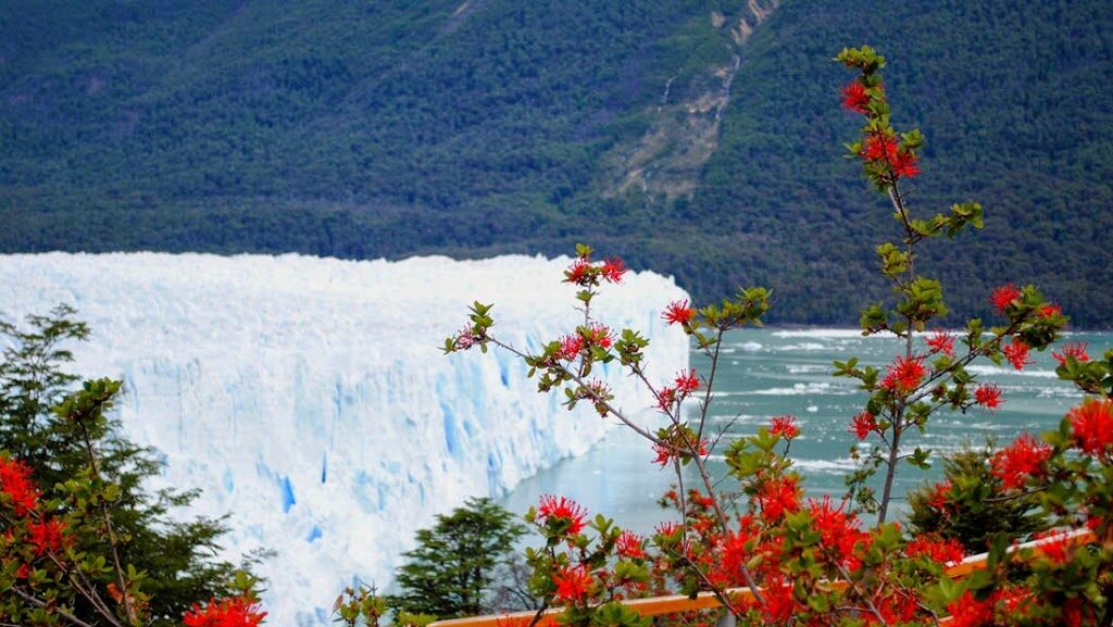 Pasarelas del Glaciar Perito Moreno