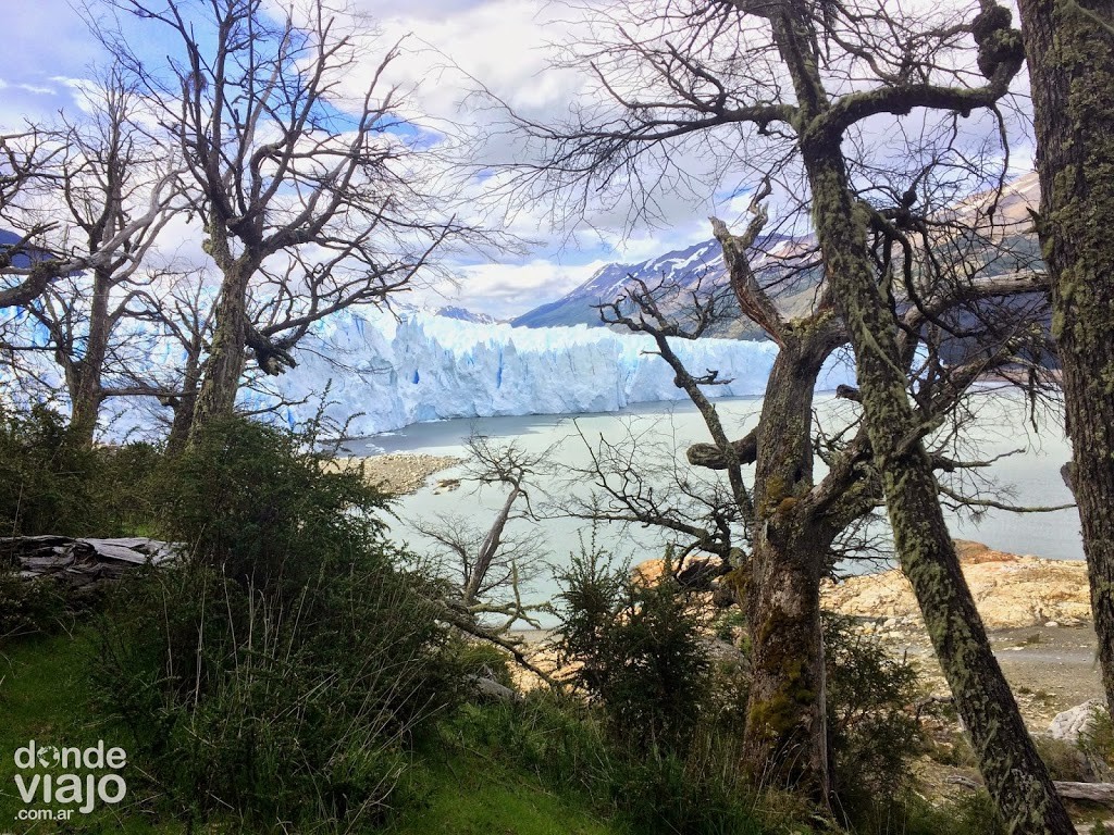 También se realiza una caminata por el bosque frente al Glaciar