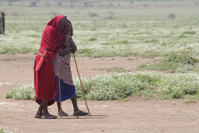 Tribu masái (Kenia)