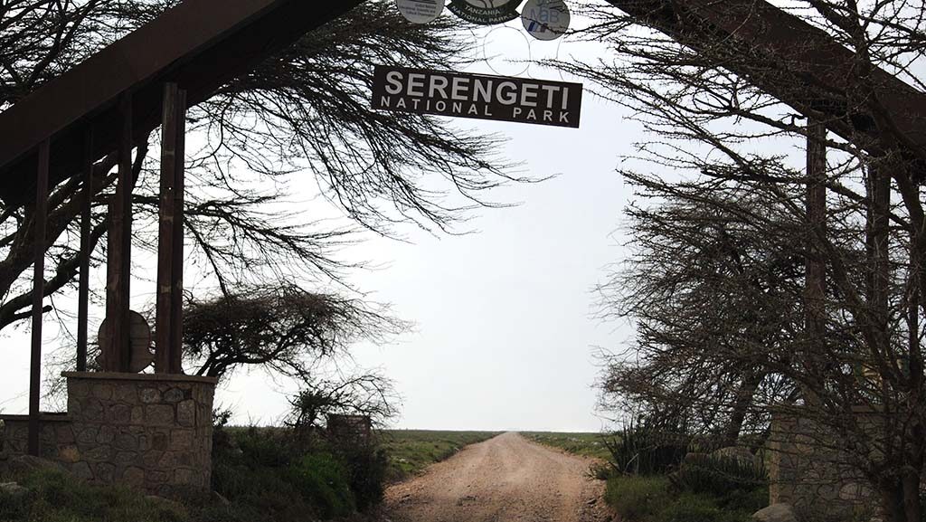 El Parque Serengeti, la estrella de los parques de Tanzania