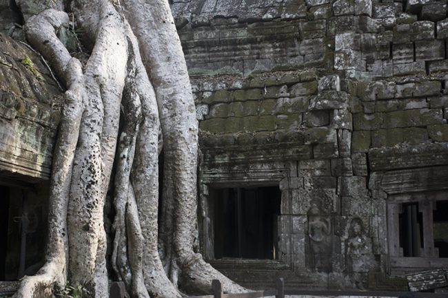 Increíble como creció el árbol ahí