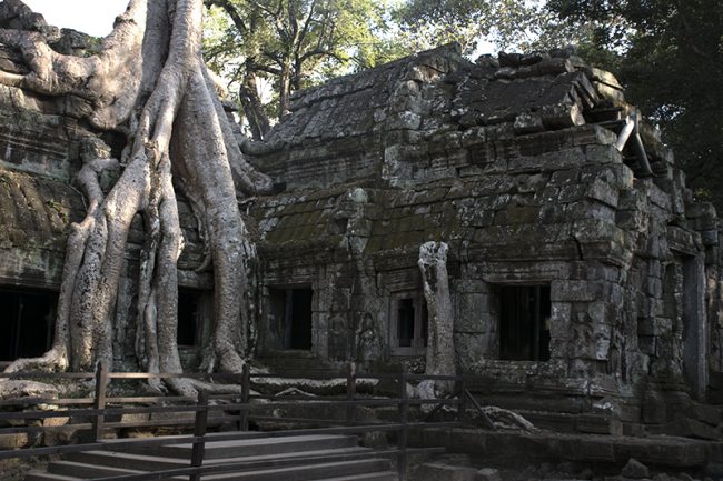 Postal típica de Angkor Wat, las raíces sobre el templo