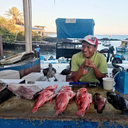 Venta de pescados en Puerto Ayora