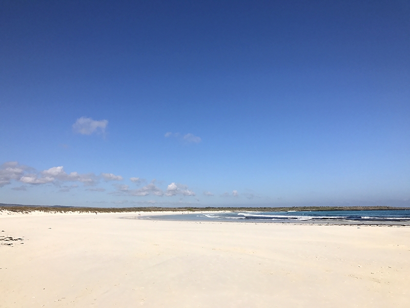 Playa de Tortuga Bay, Galápagos