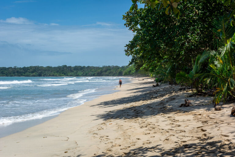 Lee más sobre el artículo Puerto Viejo y PN Cahuita, joyas de Costa Rica