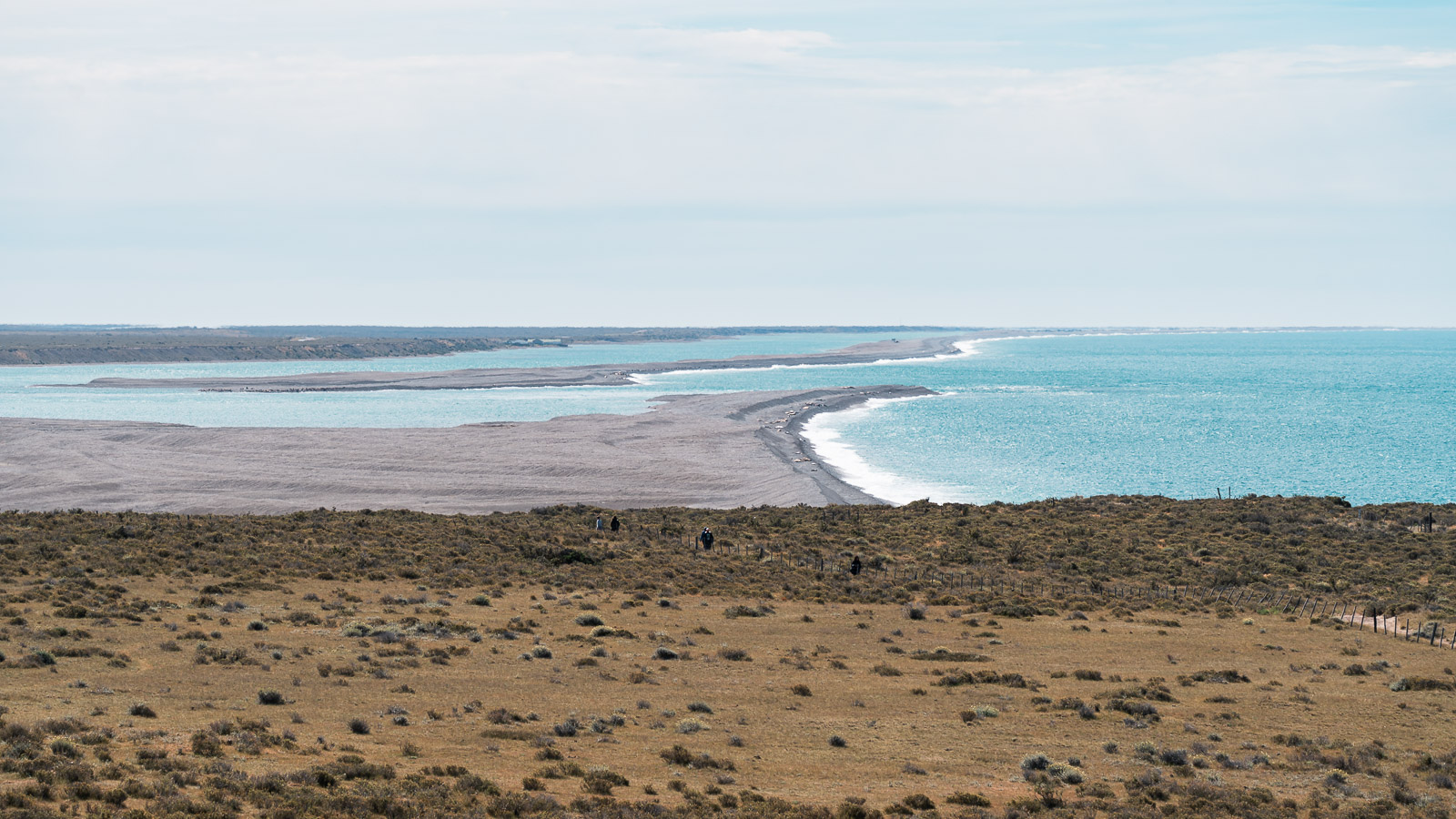 Paisaje de Península Valdés en la Patagonia argentina.