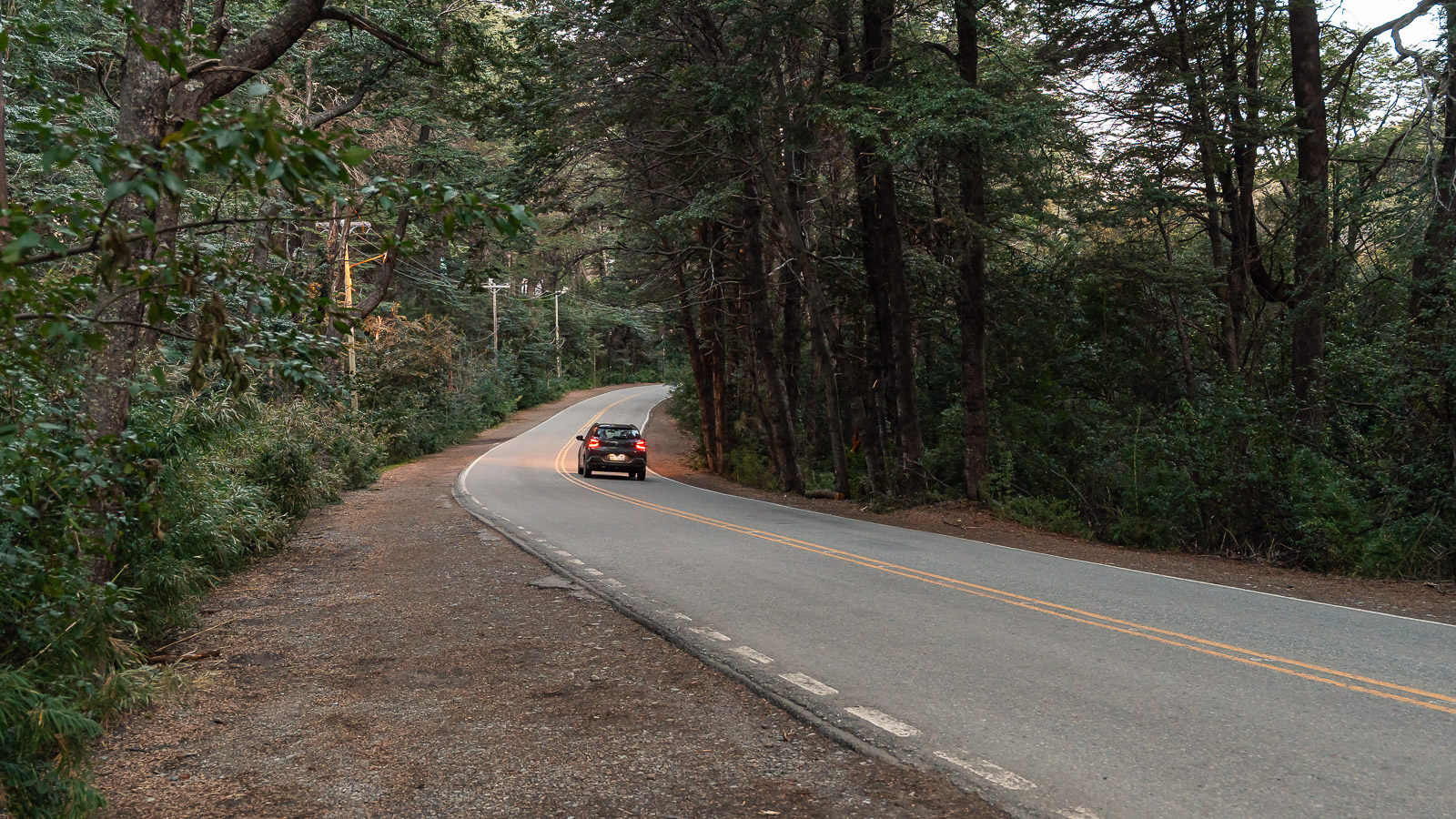 Ruta entre bosques en Bariloche, ideal para moverse en auto