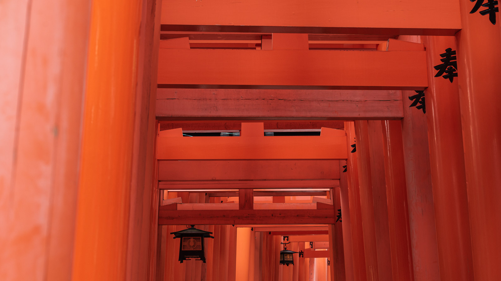 Toris del templo Fushimi Inari en Kioto, Japón.
