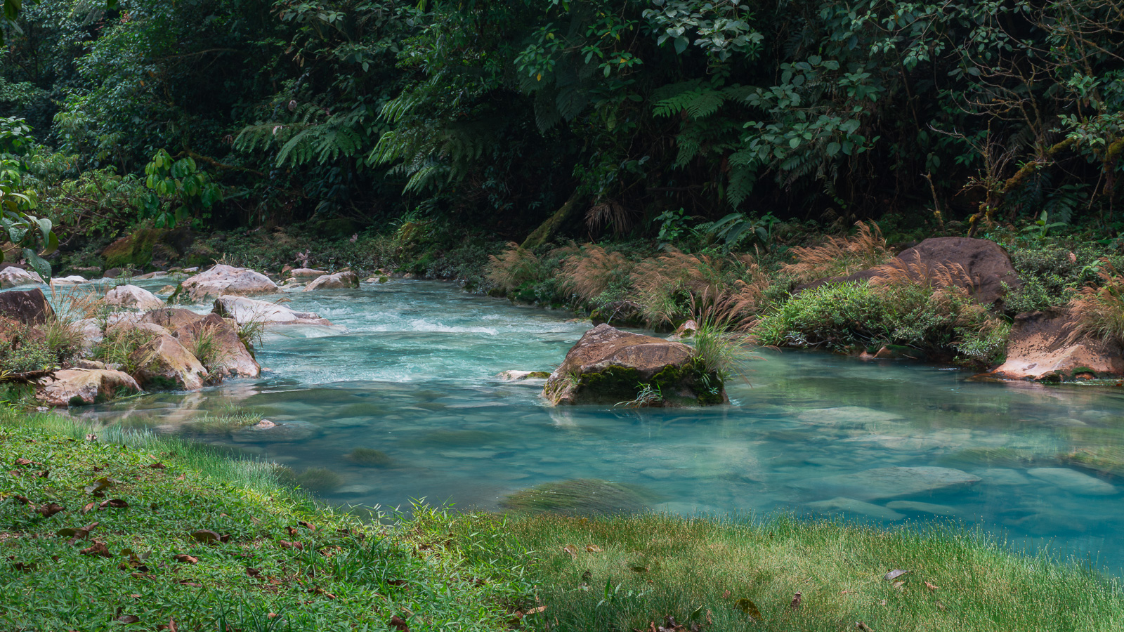 Río Celeste, una de las mejores actividades para hacer desde La Fortuna