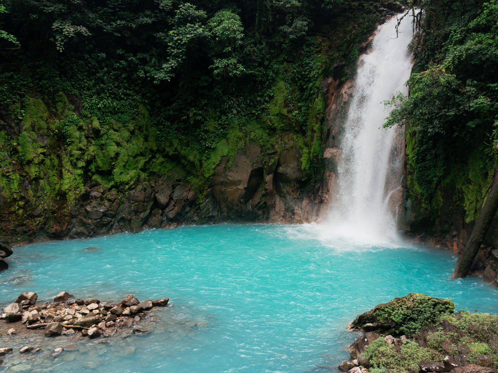 Cascada de Río Celeste rodeada de selva en Costa Rica