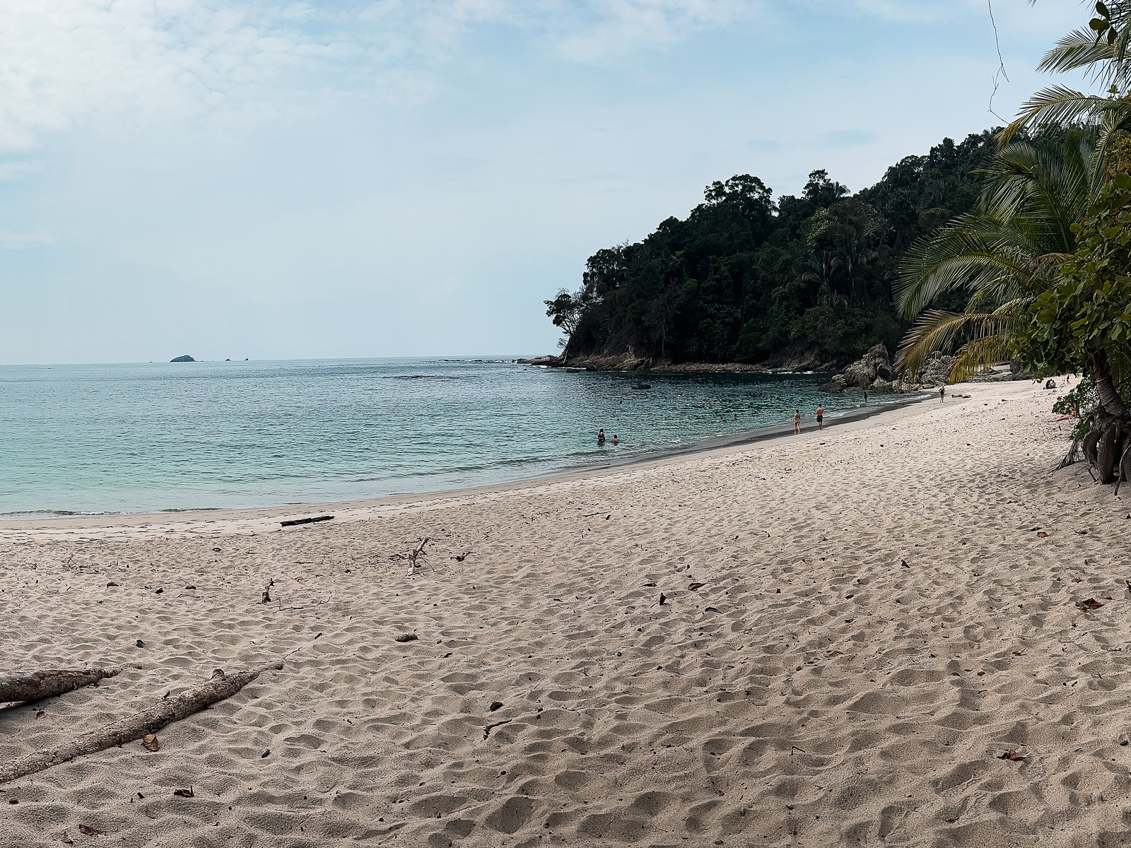 Playa del Parque Nacional Manuel Antonio rodeada de selva