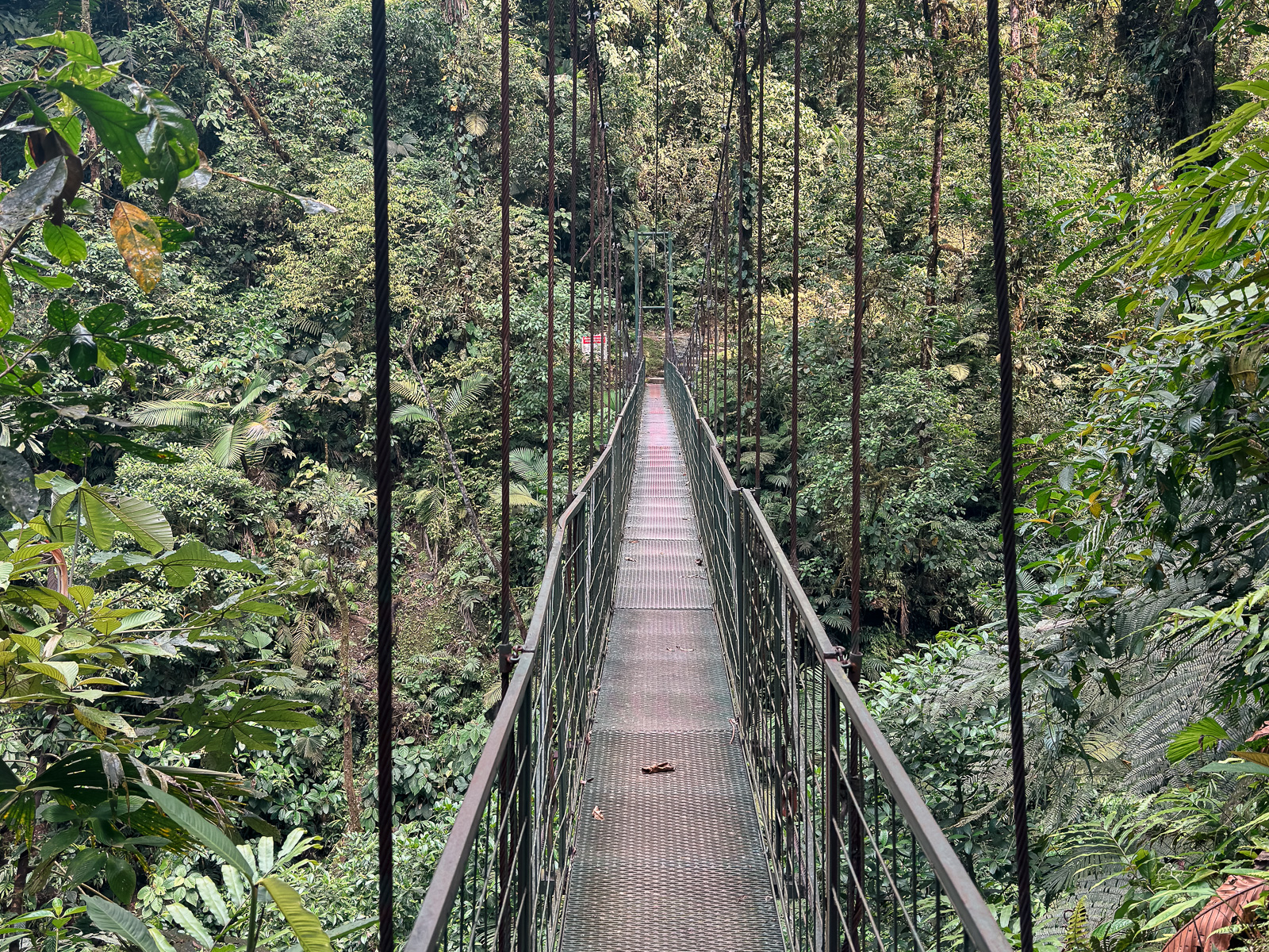 Puente colgante en camino hacia la Catarata La Fortuna