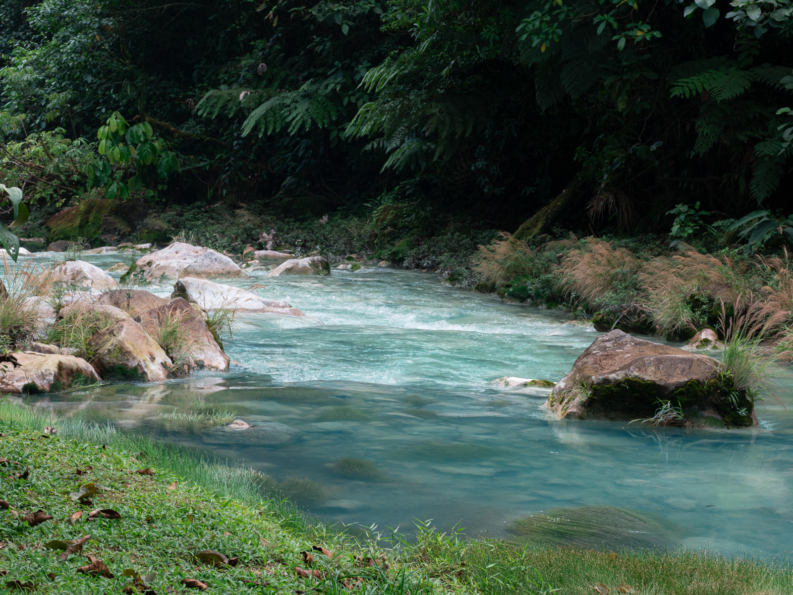 Río Celeste en el Parque Nacional Volcán Tenorio, Costa Rica