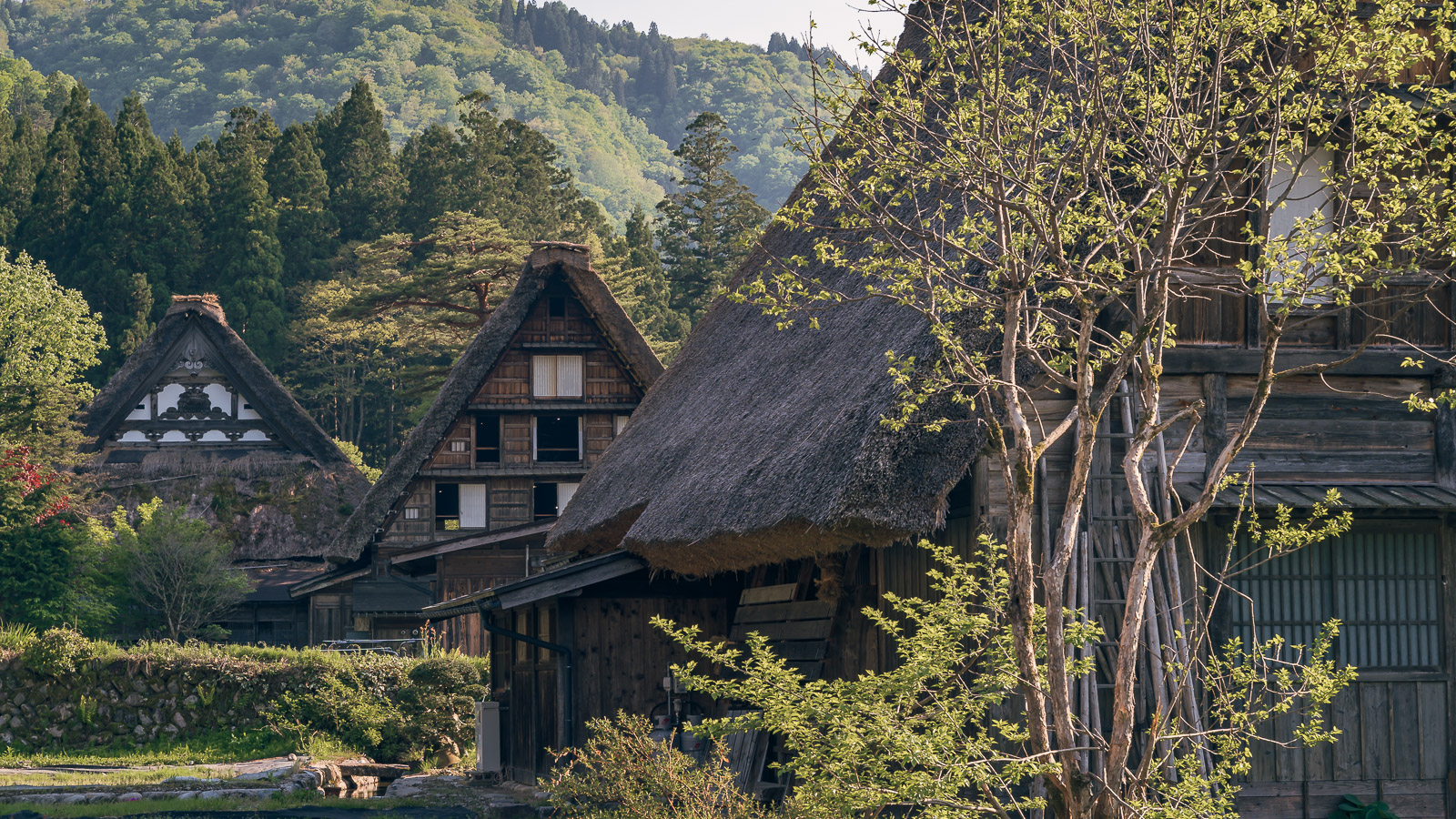Casas tradicionales de Shirakawa-go rodeadas de montañas.