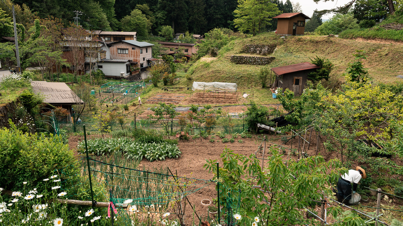 Huerta y viviendas agrestes en las inmediaciones de Takayama.