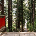 Takayama en una noche: ryokan, casco antiguo y ruta por los Alpes Japoneses