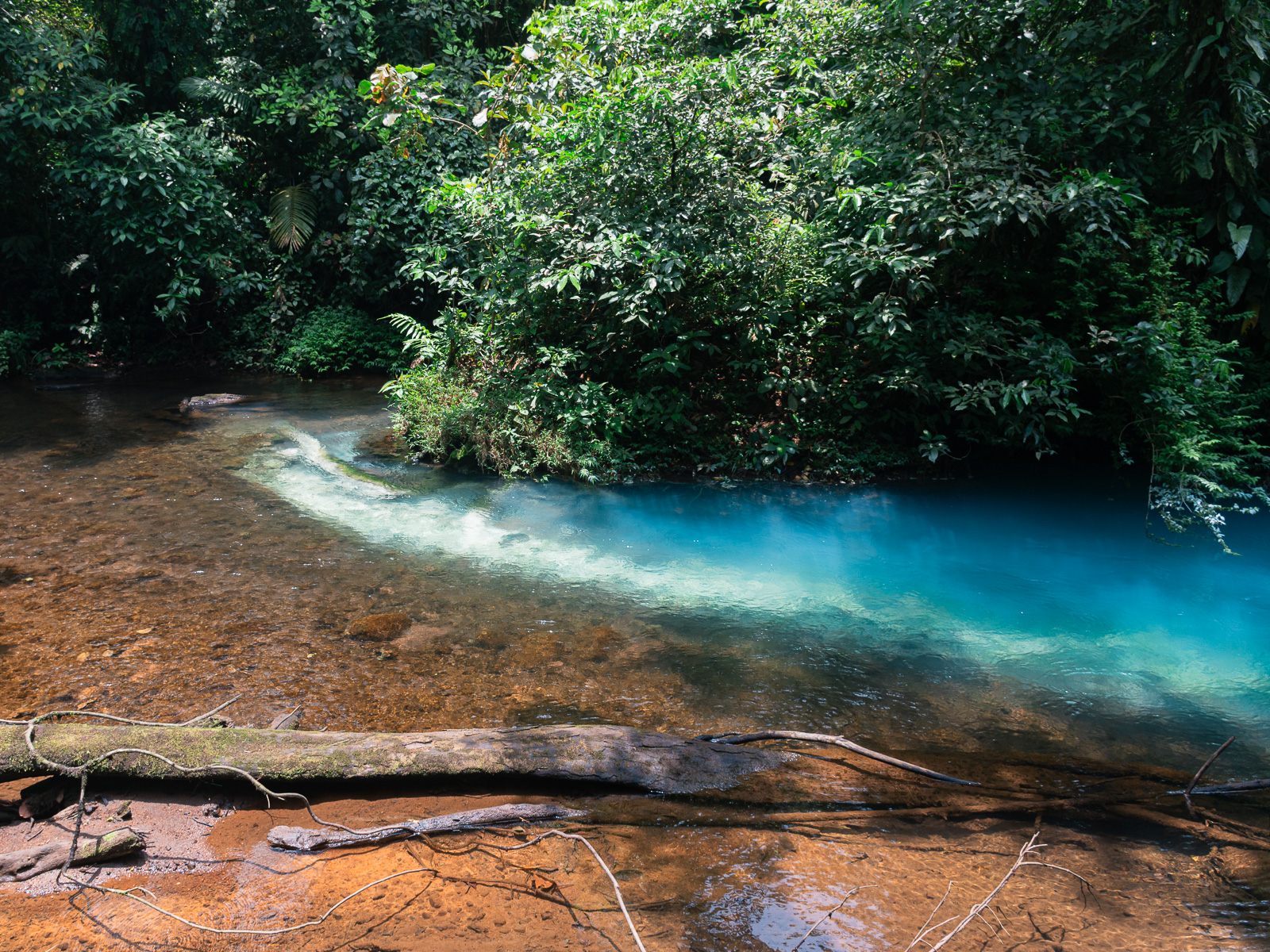 Teñidero de Río Celeste, el punto donde el agua toma su color característico