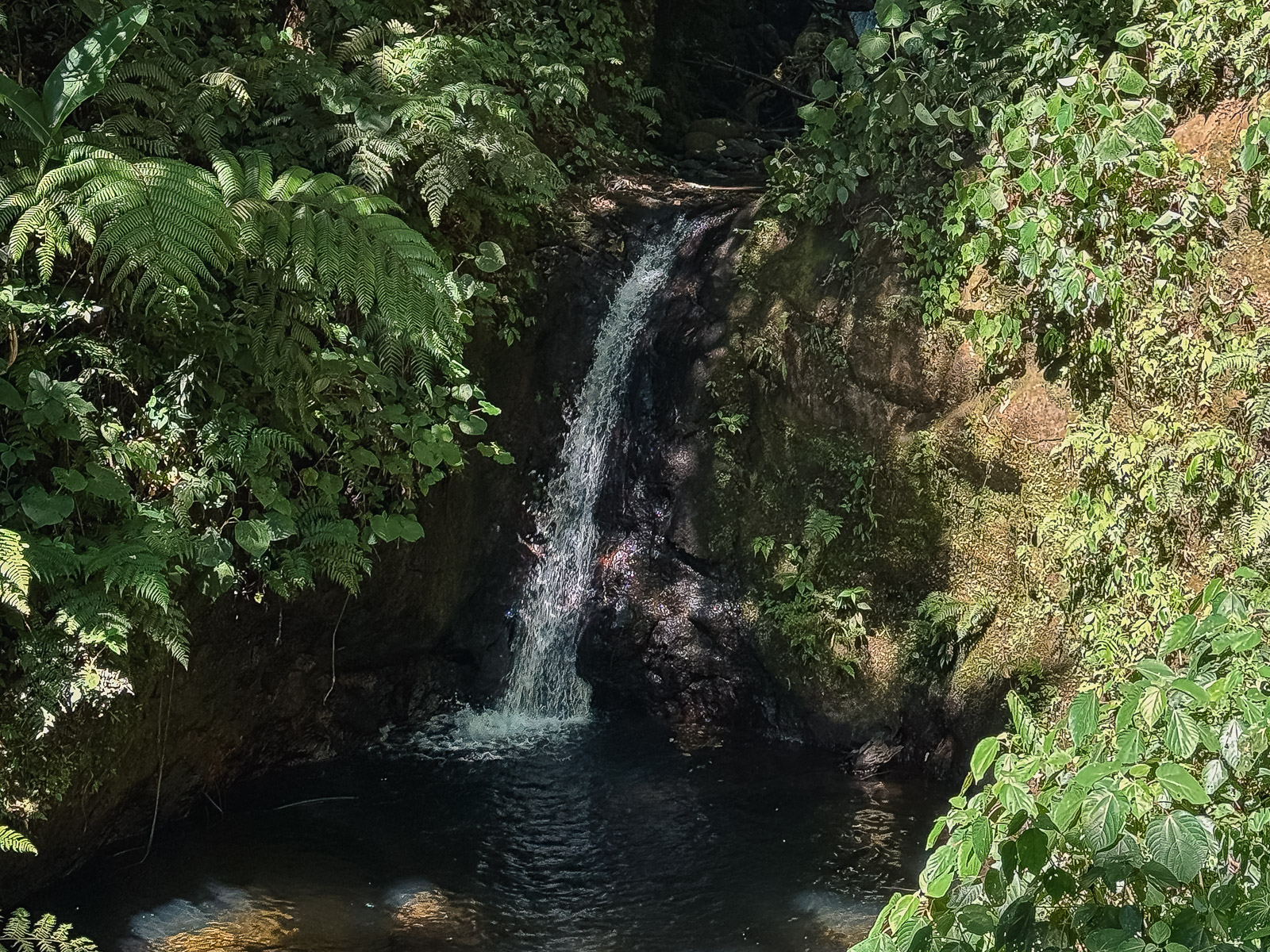 Cascada entre los senderos del Bosque Nuboso de Monteverde