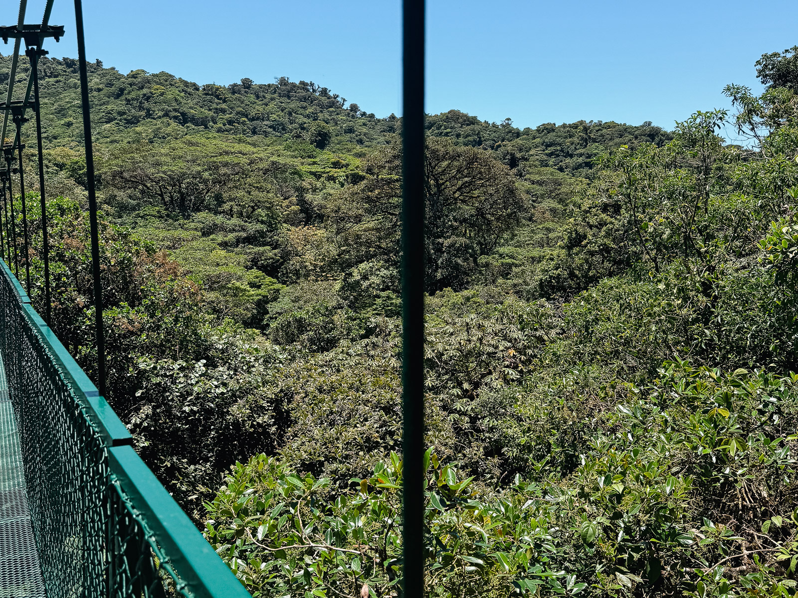 Puentes colgantes entre el bosque nuboso de Monteverde