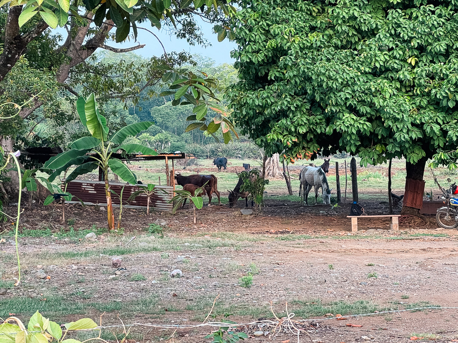 Zona tranquila del pueblo de Uvita, Costa Rica
