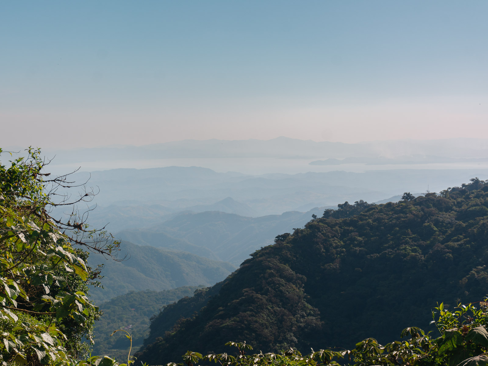 Paisaje verde del bosque nuboso de Monteverde desde un mirador